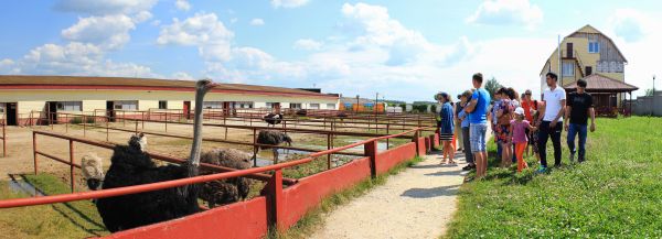 День открытых дверей в Южном